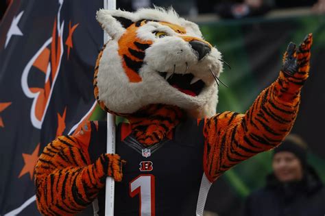 cincinnati bengals reddit|Cincinnati Bengals .